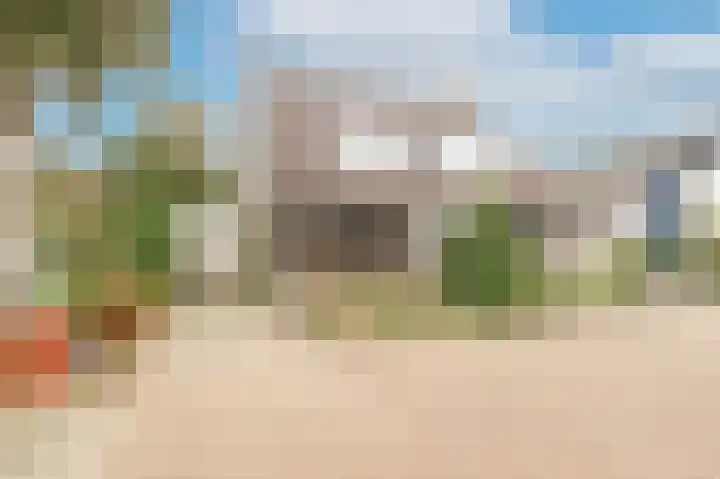 Pinksterbloem 29 Culemborg thumbnail 35