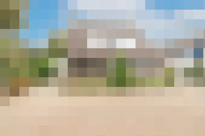 Pinksterbloem 29 Culemborg thumbnail 36