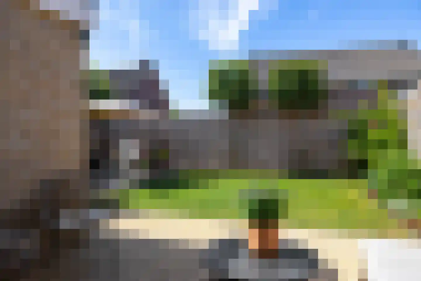 Pinksterbloem 29 Roden thumbnail 26