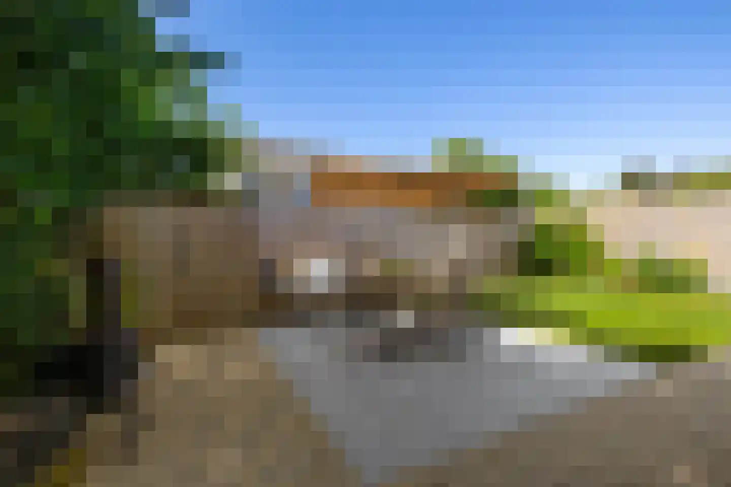 Pinksterbloem 29 Roden thumbnail 28