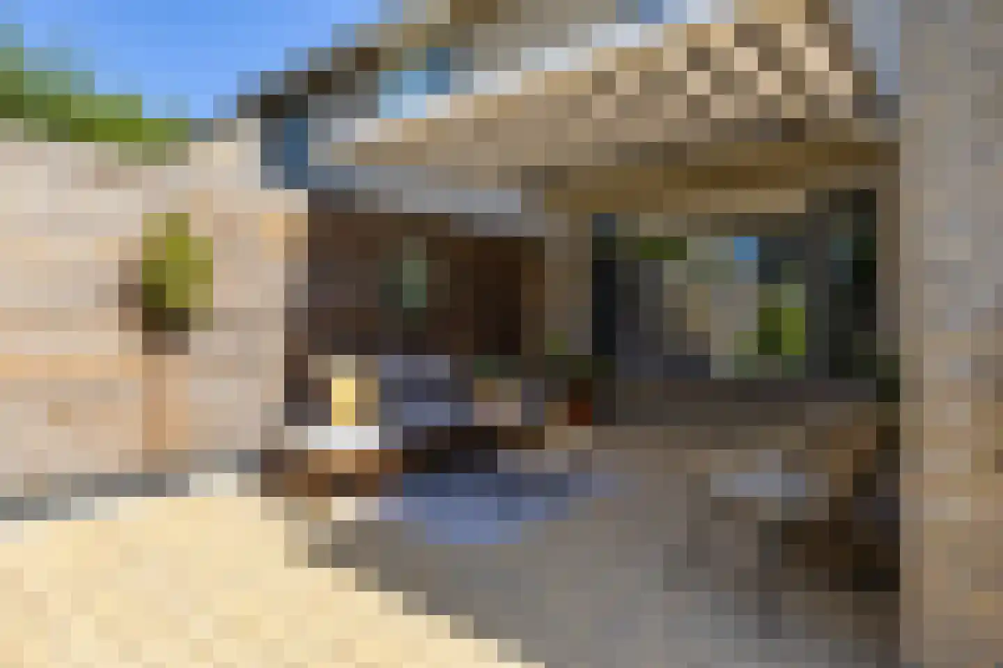 Pinksterbloem 29 Roden thumbnail 30