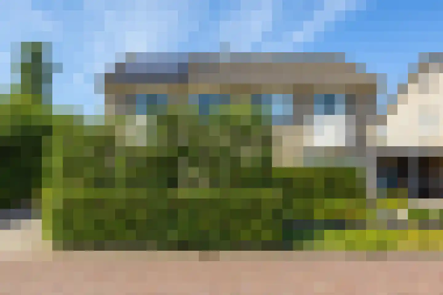 Pinksterbloem 29 Roden thumbnail 47