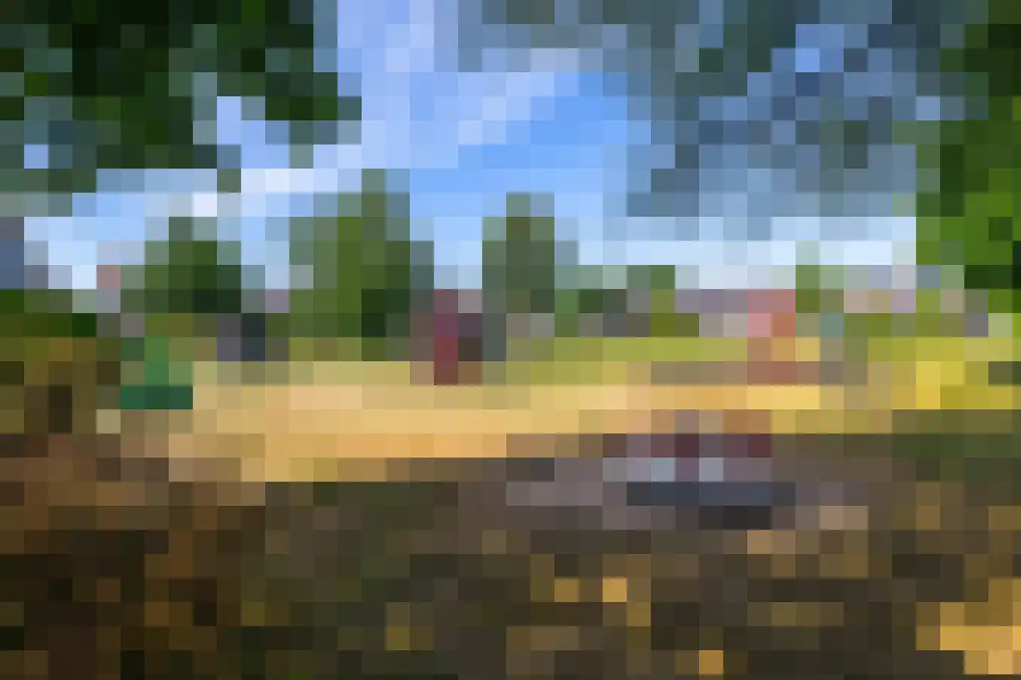 Pinksterbloem 29 Roden thumbnail 48