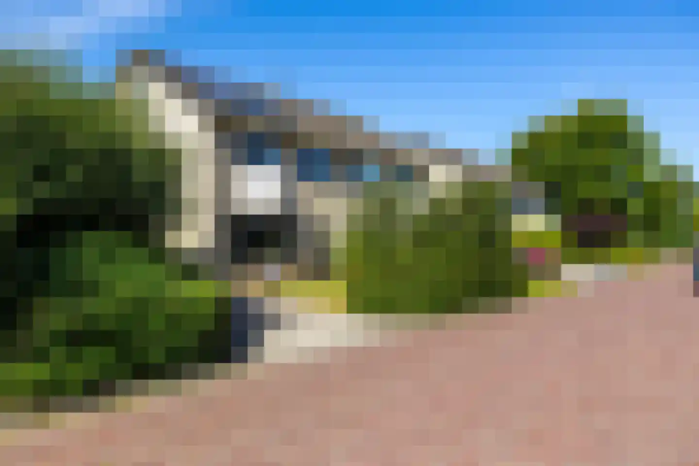 Pinksterbloem 29 Roden thumbnail 5