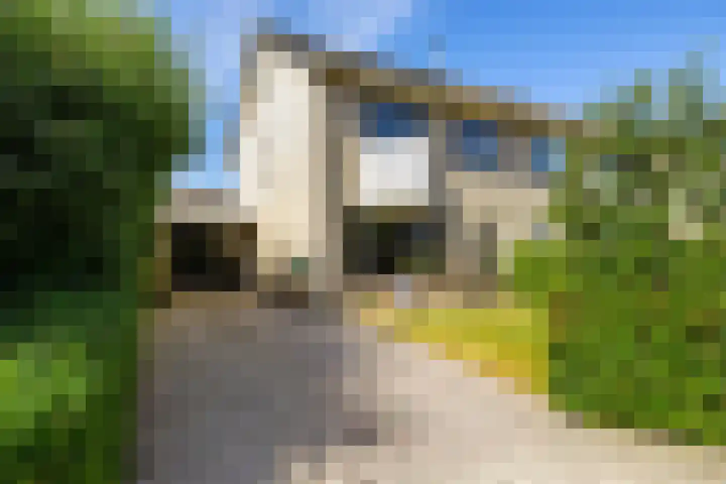 Pinksterbloem 29 Roden thumbnail 6