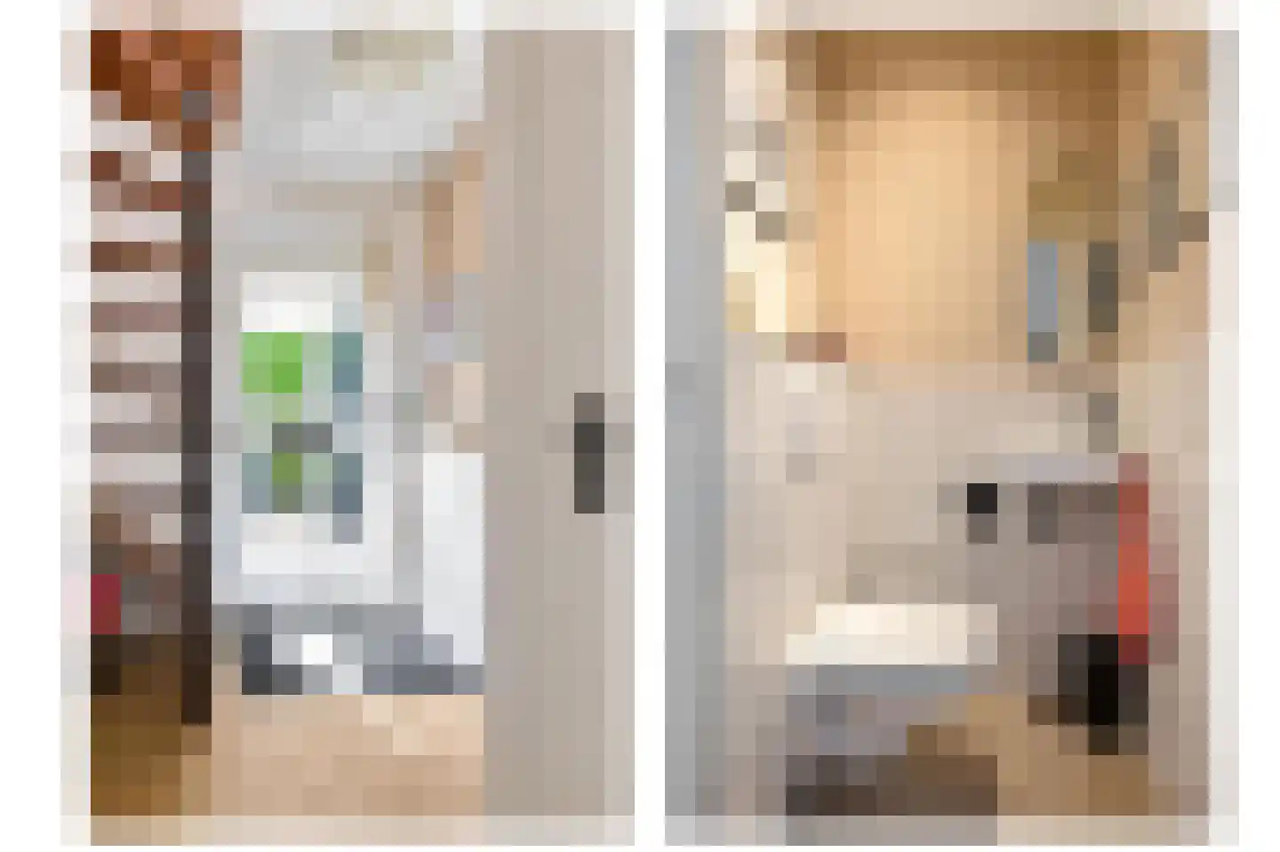 Pinksterbloem 29 Roden thumbnail 8