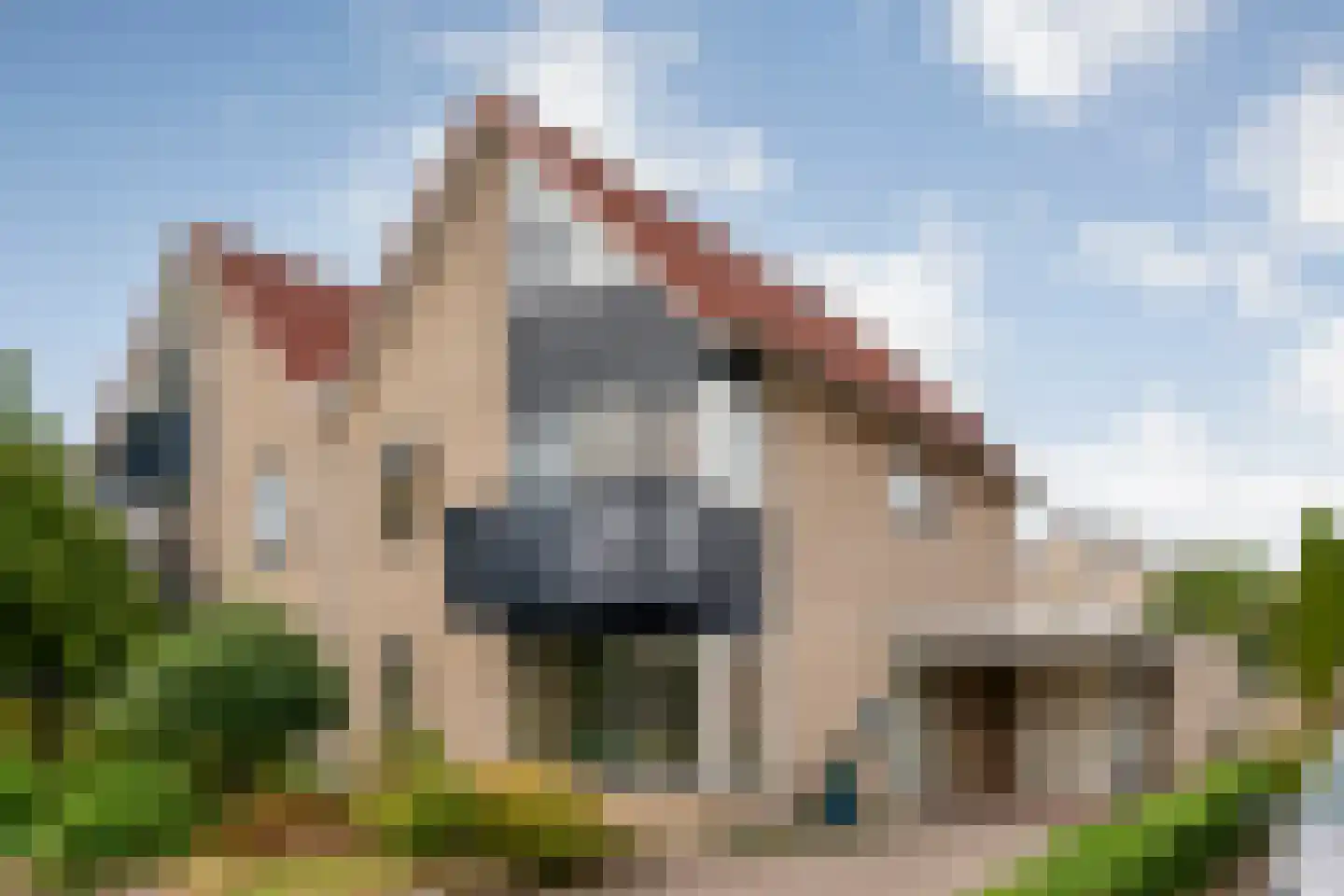 Pinksterbloem 3 in Hardenberg