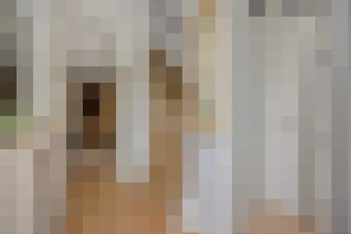 Pinksterbloem 3 Deurne thumbnail 10