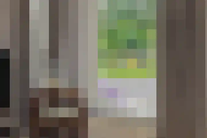 Pinksterbloem 3 Deurne thumbnail 13