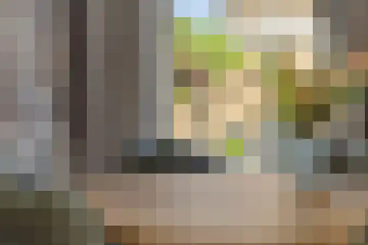 Pinksterbloem 3 Deurne thumbnail 16