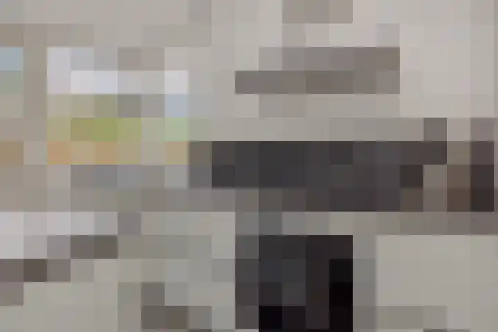 Pinksterbloem 3 Deurne thumbnail 19