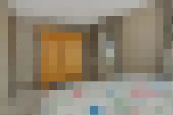 Pinksterbloem 3 Deurne thumbnail 24