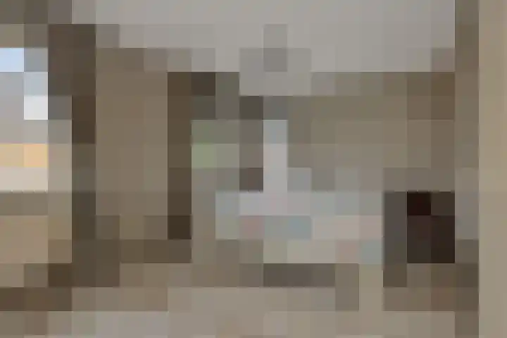 Pinksterbloem 3 Deurne thumbnail 25