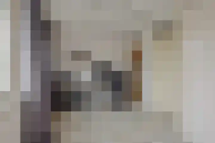 Pinksterbloem 3 Deurne thumbnail 26