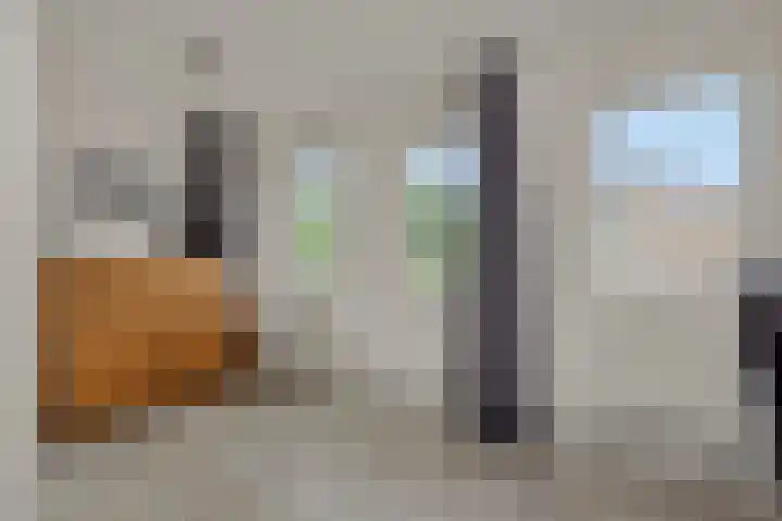 Pinksterbloem 3 Deurne thumbnail 28