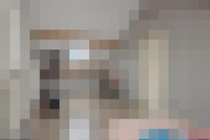 Pinksterbloem 3 Deurne thumbnail 32