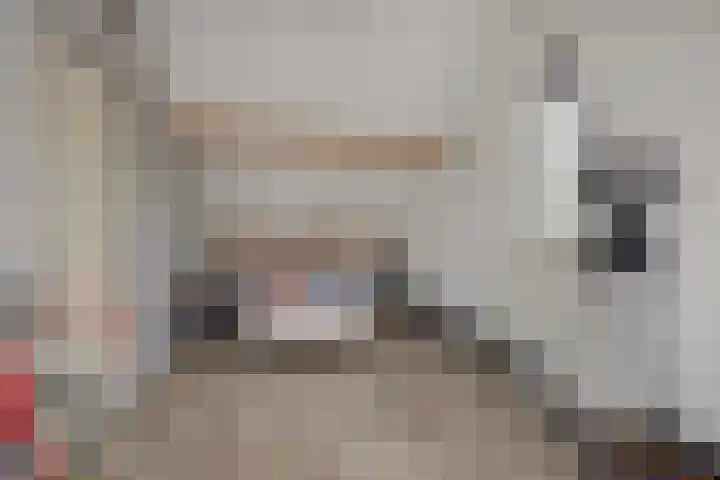 Pinksterbloem 3 Deurne thumbnail 33
