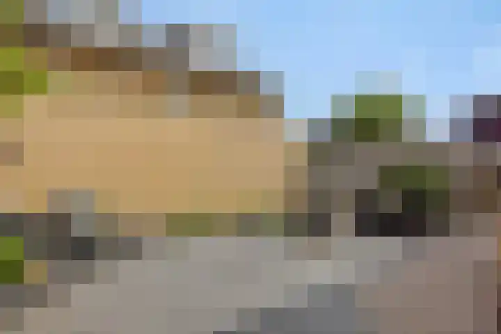 Pinksterbloem 3 Deurne thumbnail 36