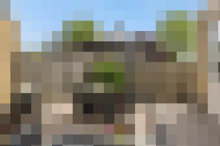 Pinksterbloem 3 Deurne thumbnail 37