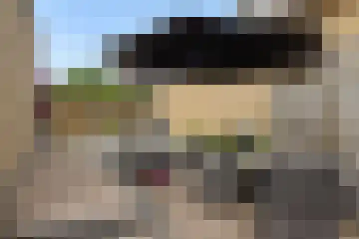 Pinksterbloem 3 Deurne thumbnail 38
