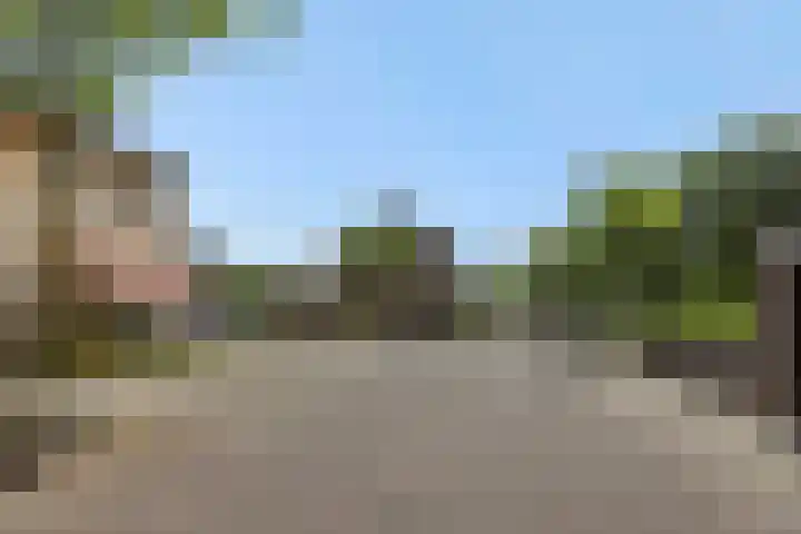 Pinksterbloem 3 Deurne thumbnail 40