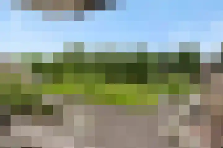 Pinksterbloem 3 Deurne thumbnail 42