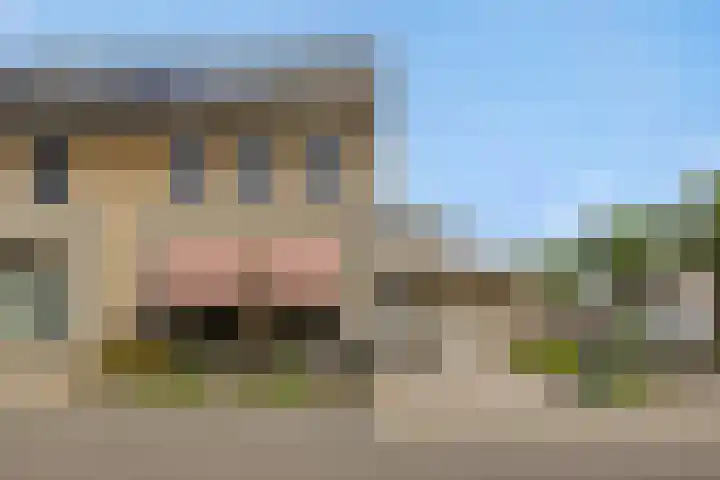 Pinksterbloem 3 Deurne thumbnail 7