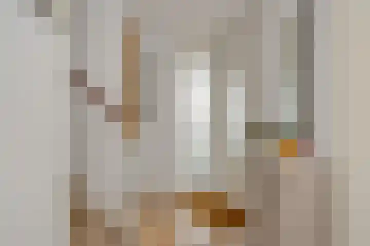 Pinksterbloem 3 Deurne thumbnail 9