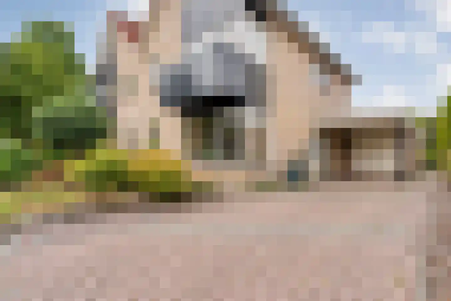 Pinksterbloem 3 Hardenberg thumbnail 10