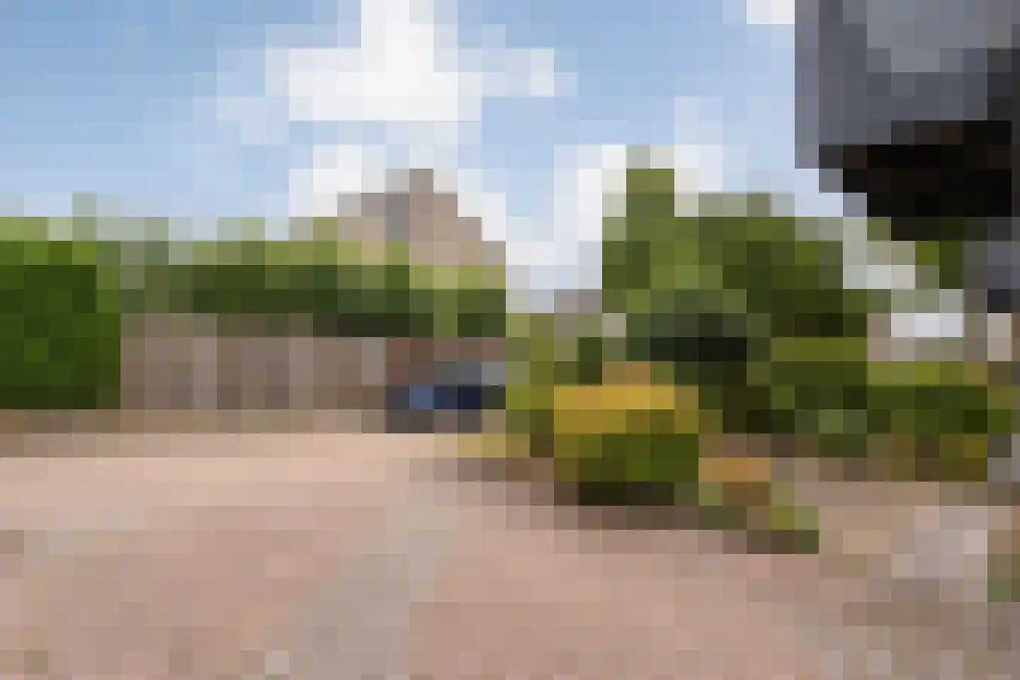 Pinksterbloem 3 Hardenberg thumbnail 11