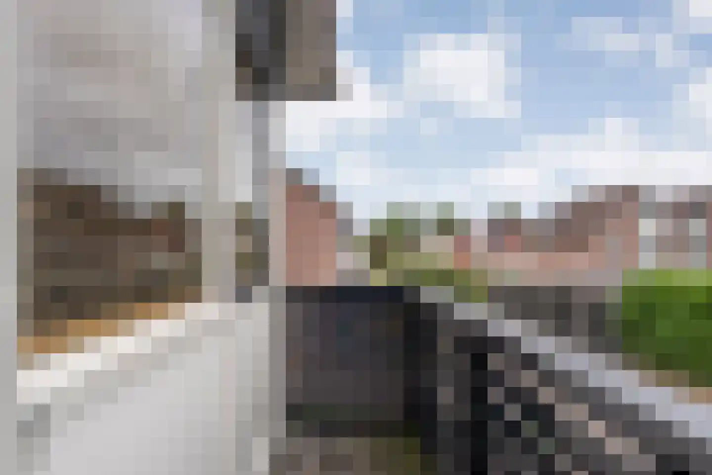 Pinksterbloem 3 Hardenberg thumbnail 28