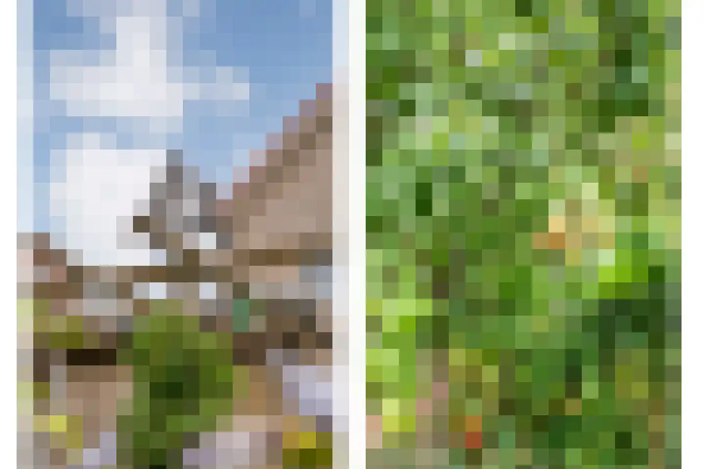 Pinksterbloem 3 Hardenberg thumbnail 44