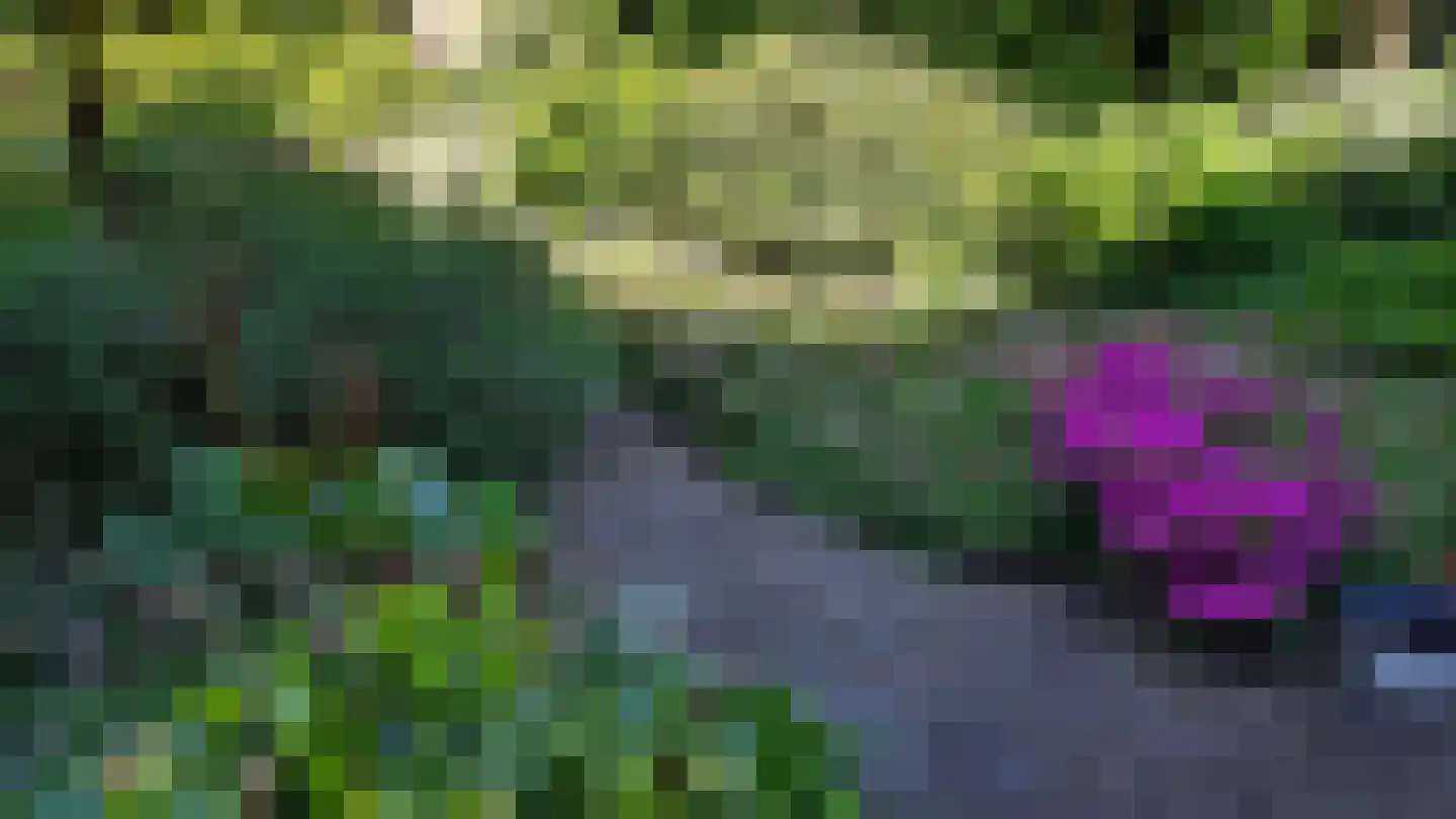 Pinksterbloem 3 Hardenberg thumbnail 50
