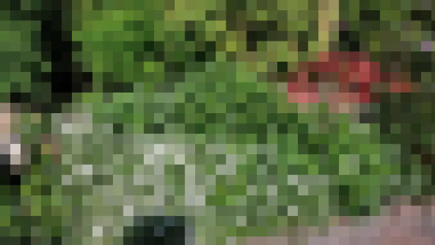 Pinksterbloem 3 Hardenberg thumbnail 53
