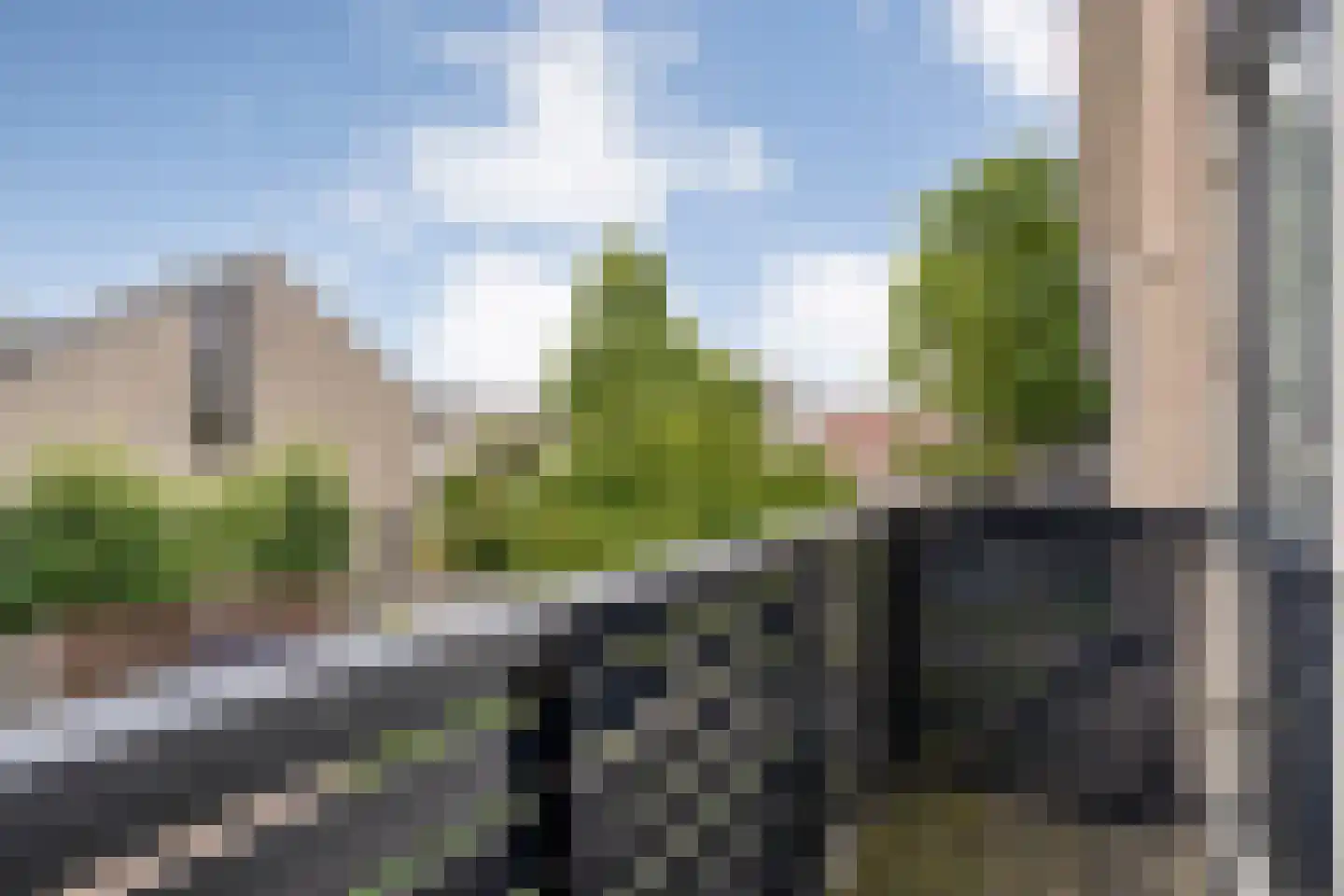 Pinksterbloem 3 Hardenberg thumbnail 7