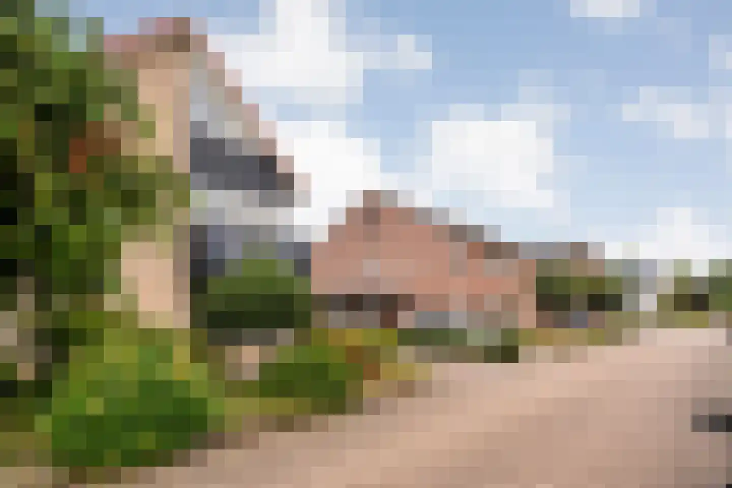 Pinksterbloem 3 Hardenberg thumbnail 9