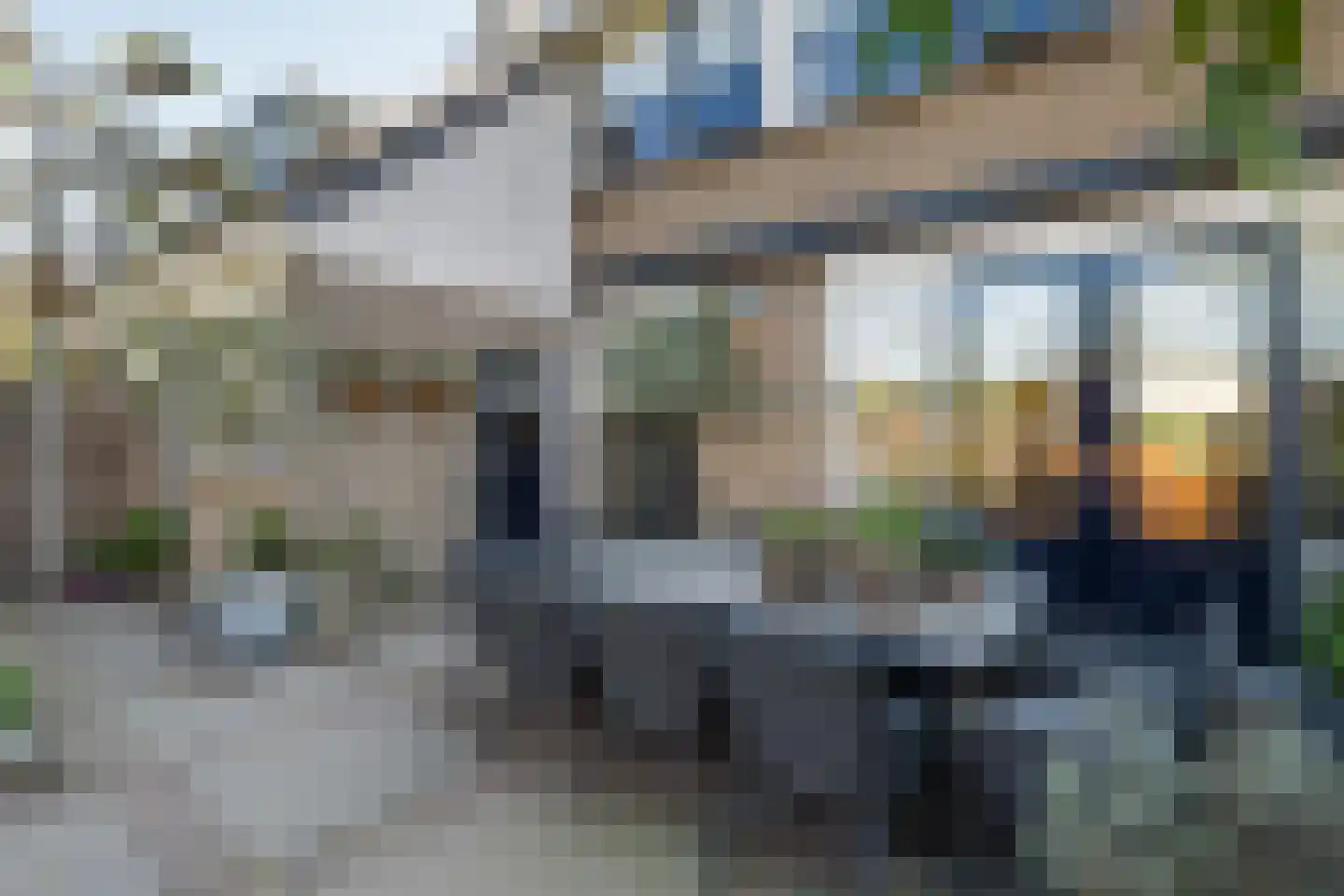 Pinksterbloem 30 Barendrecht thumbnail 30