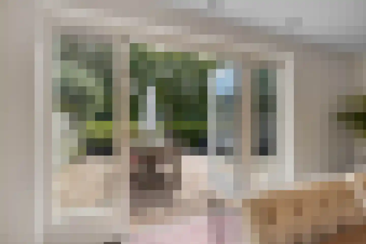 Pinksterbloem 30 Sneek thumbnail 17
