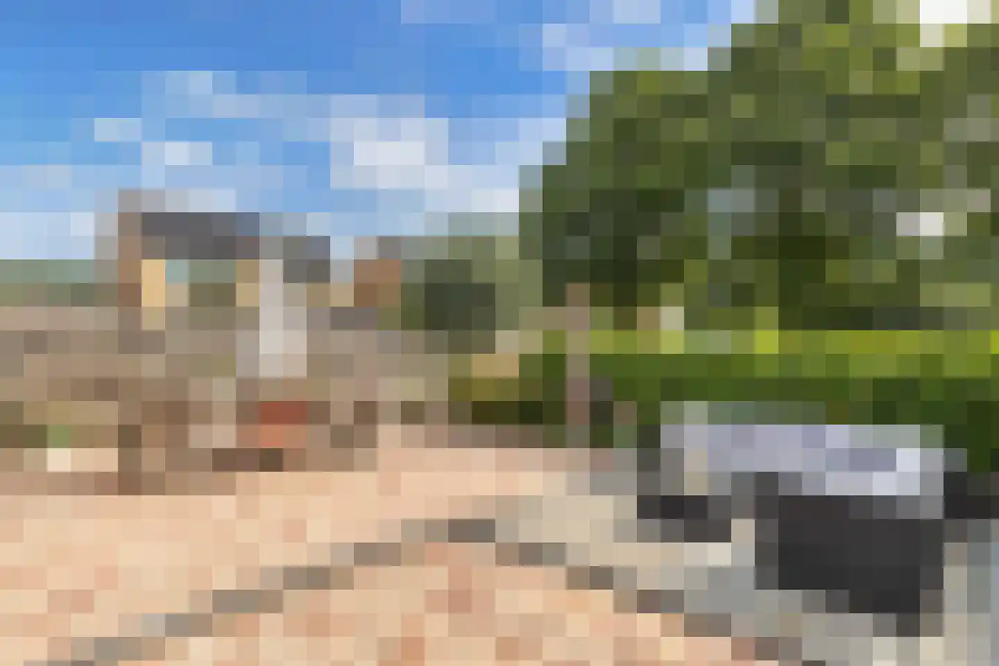 Pinksterbloem 30 Sneek thumbnail 39