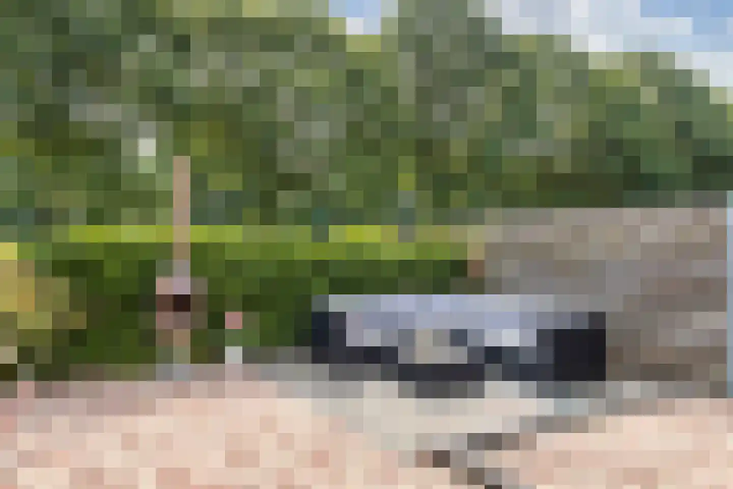 Pinksterbloem 30 Sneek thumbnail 40