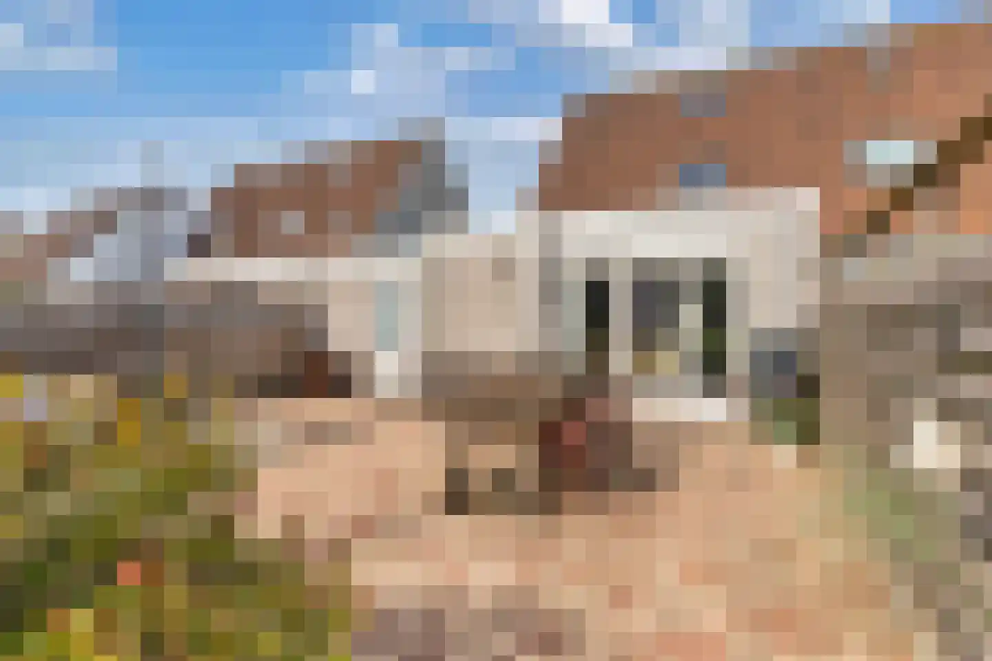 Pinksterbloem 30 Sneek thumbnail 41