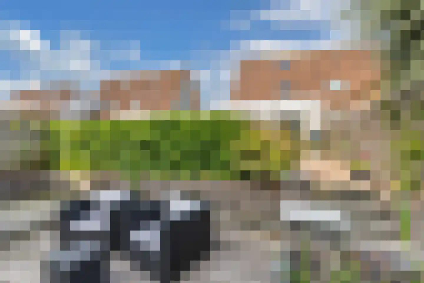 Pinksterbloem 30 Sneek thumbnail 42