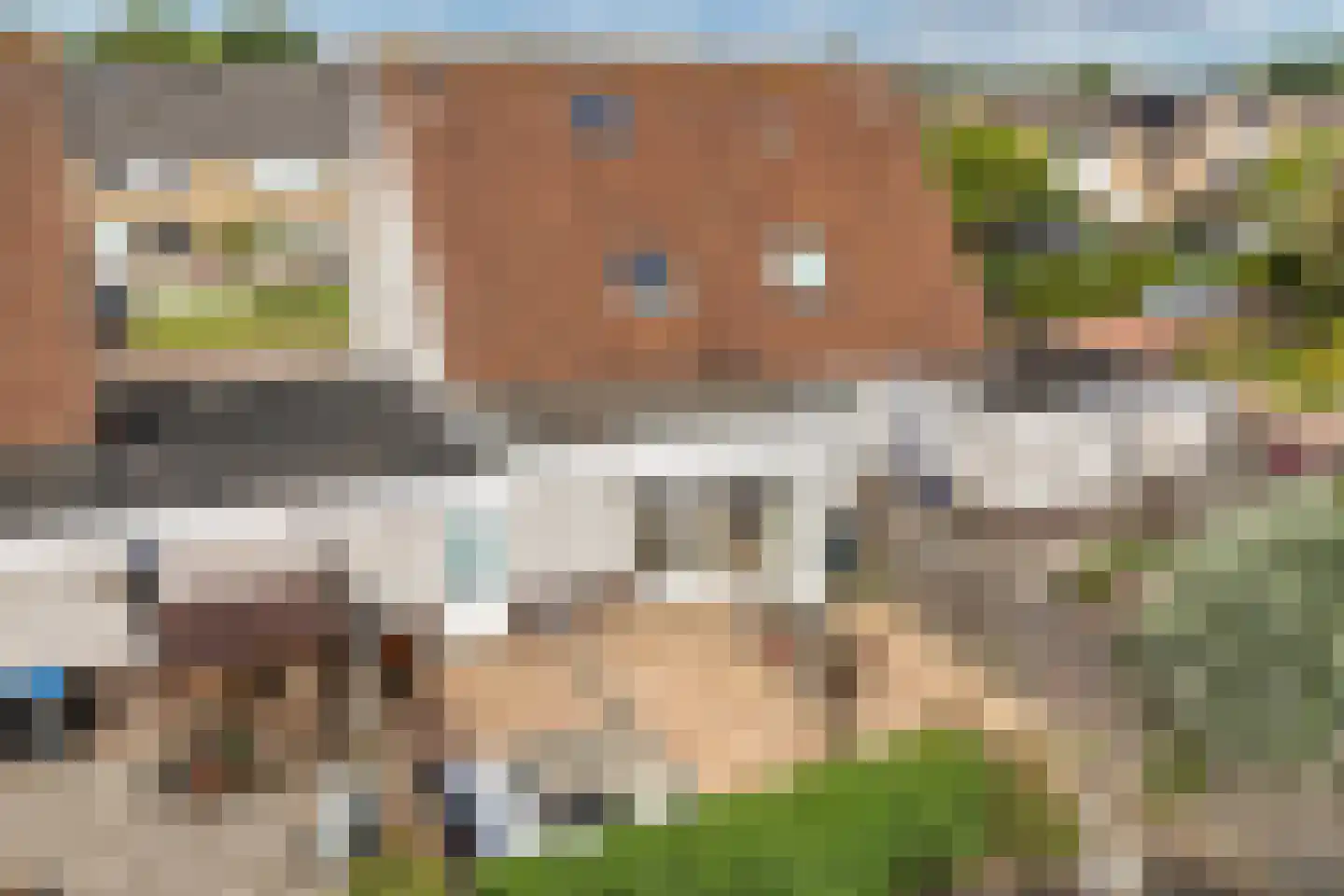 Pinksterbloem 30 Sneek thumbnail 45
