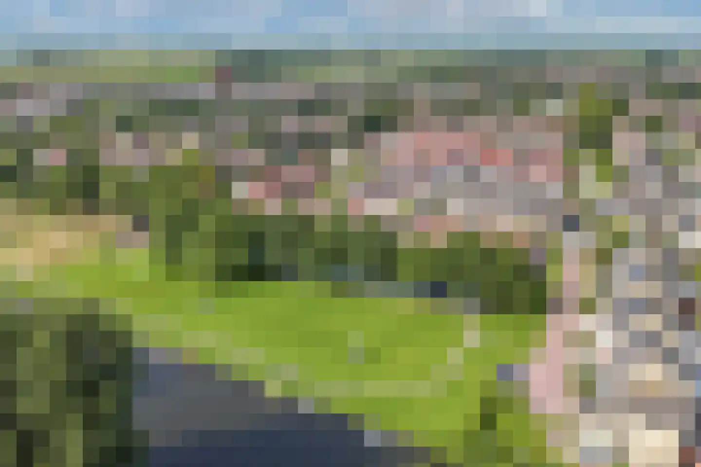 Pinksterbloem 30 Sneek thumbnail 46