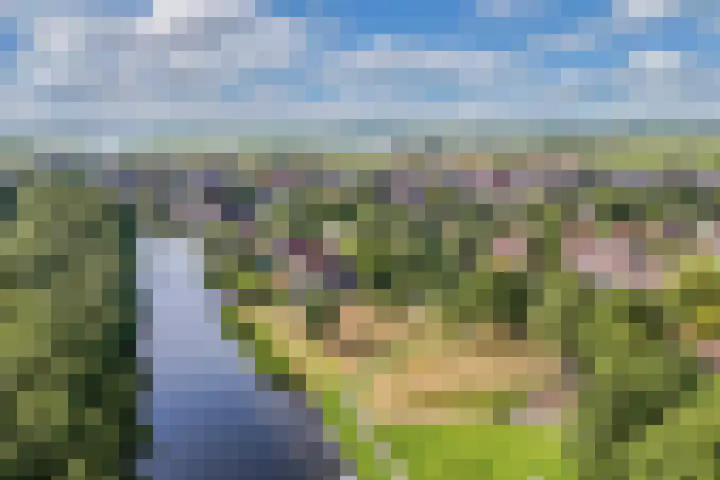 Pinksterbloem 30 Sneek thumbnail 47