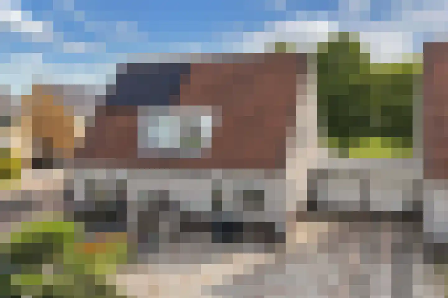 Pinksterbloem 30 Sneek thumbnail 48