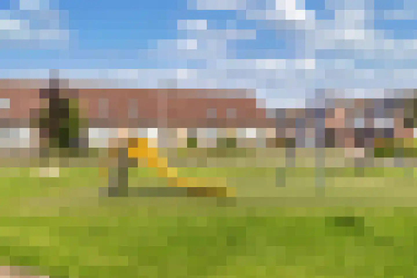 Pinksterbloem 30 Sneek thumbnail 50