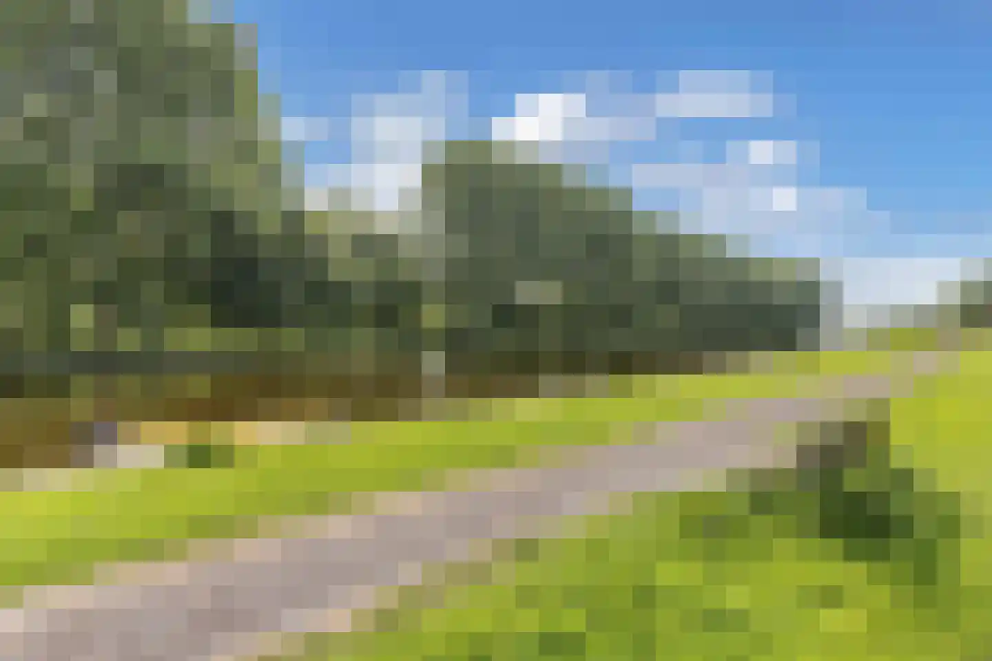 Pinksterbloem 30 Sneek thumbnail 52