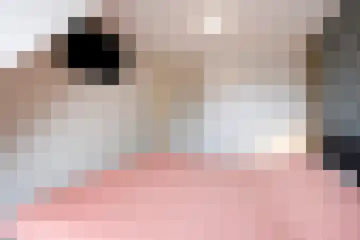 Pinksterbloem 39 Venray thumbnail 20