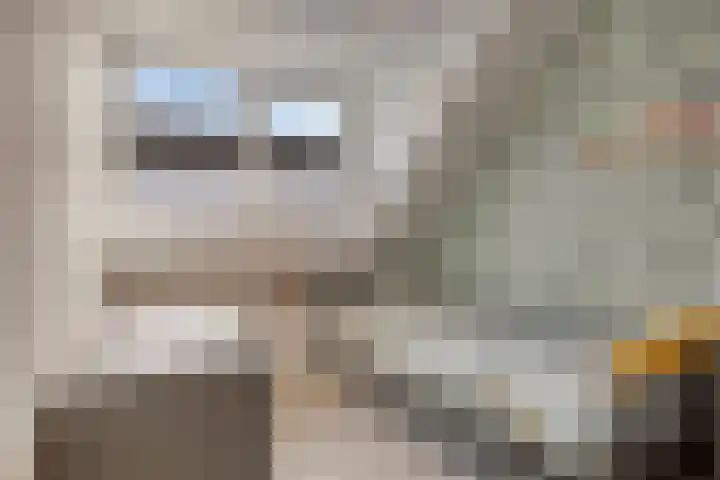 Pinksterbloem 39 Venray thumbnail 24